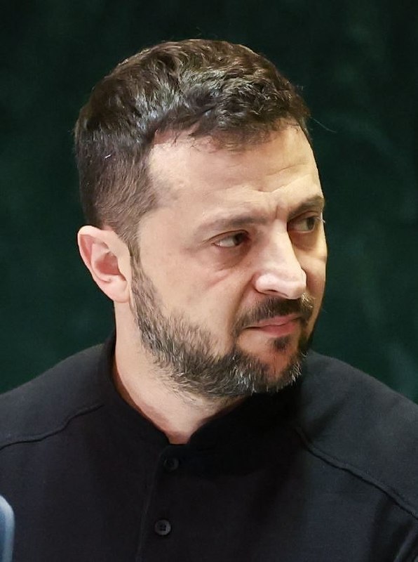 Згідно Конституції президент Володимир Зеленський не мав права пропонувати Свириденко стати прем’…